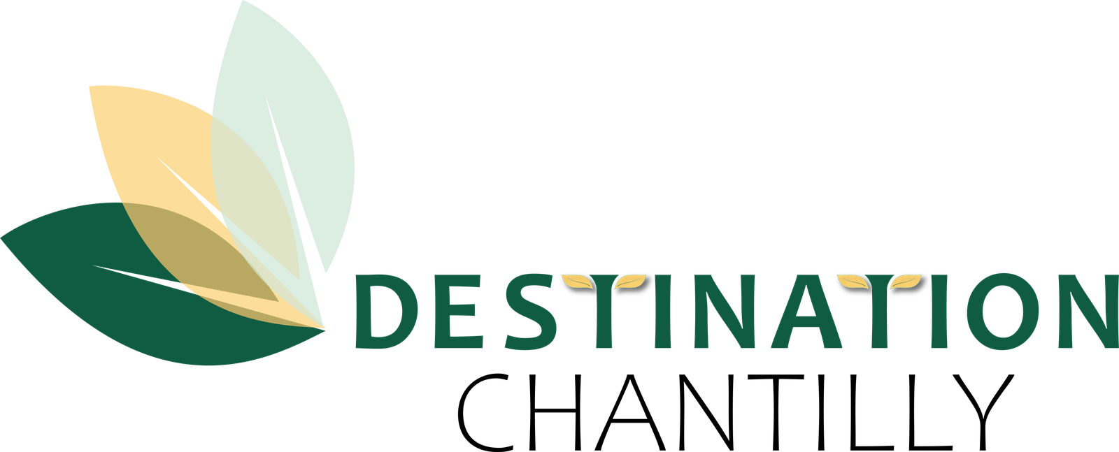 Destination Chantilly